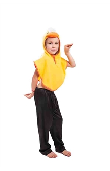 duck costume