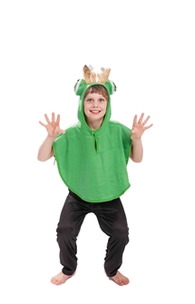 Frog costume for boys